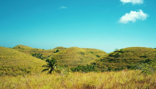 Scenic view of field against blue sky