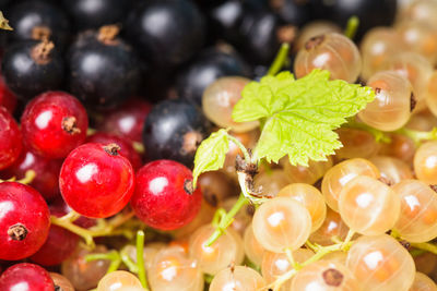 Full frame shot of grapes