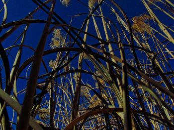 Low angle view of metal structure against sky