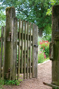 View of flowering plants by fence