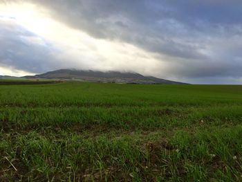 Scenic view of grassy field against cloudy sky