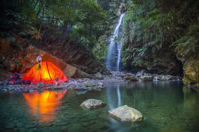 Scenic view of waterfall in forest