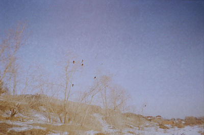 Scenic view of land against clear sky during winter