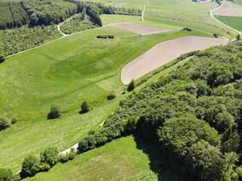 High angle view of green landscape