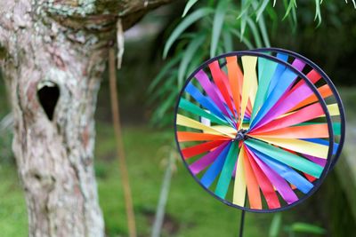 Colorful pinwheel toys by tree