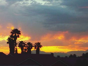 Palm trees against cloudy sky