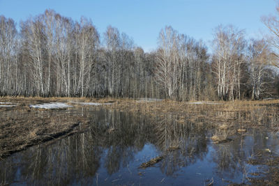 Scenic view of lake in forest against sky