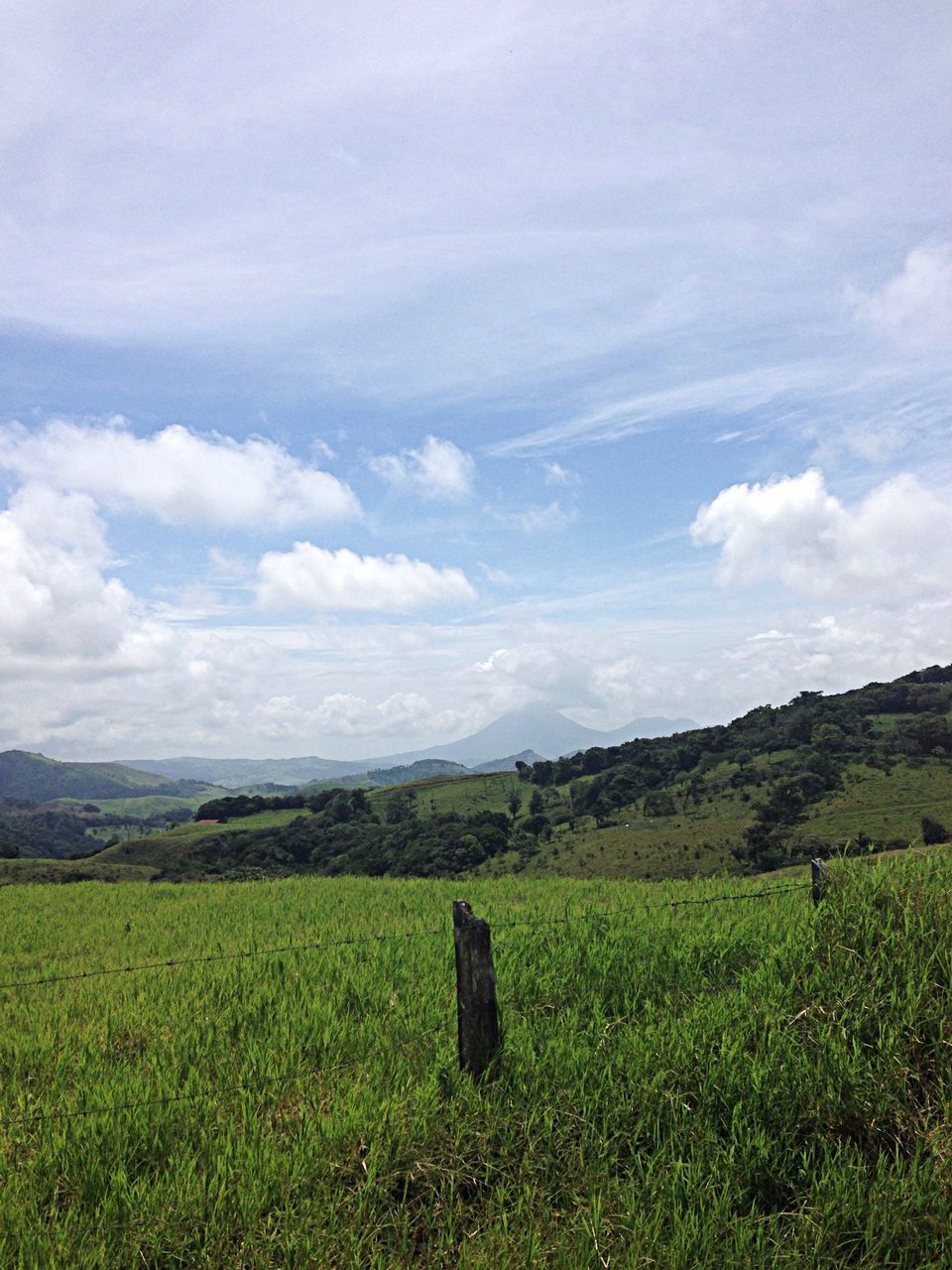 grass, landscape, tranquil scene, field, tranquility, sky, scenics, beauty in nature, grassy, nature, green color, growth, rural scene, cloud - sky, cloud, non-urban scene, idyllic, mountain, agriculture, horizon over land