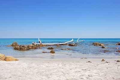 Scenic view of sea against clear blue sky