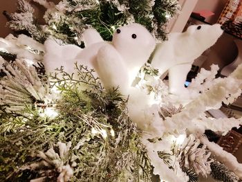 High angle view of white birds