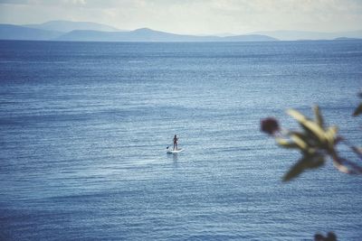 High angle view of woman paddle boarding in sea