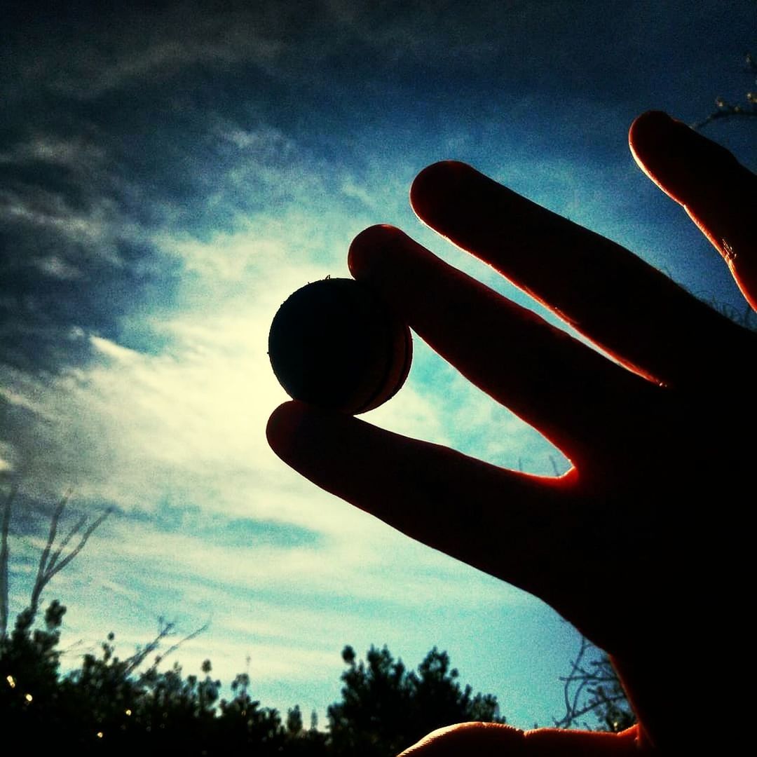 sky, low angle view, silhouette, cloud - sky, human hand, close-up, day, indoors, nature