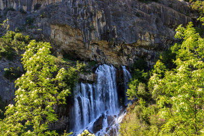 Scenic view of waterfall