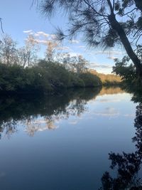 Scenic view of lake in forest against sky