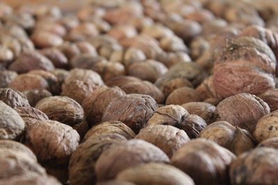 Close up of walnuts