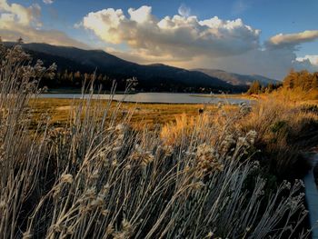 Scenic view of landscape against sky