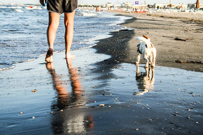 Low section of person with dog on water