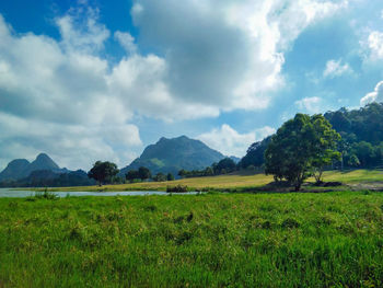 Scenic view of field against sky