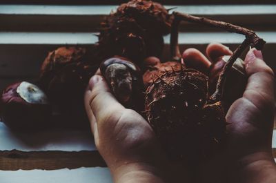 Close-up of person holding food