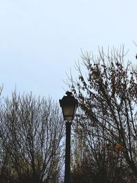 Low angle view of street light against sky