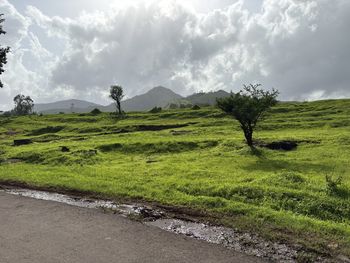 landscape