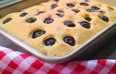Closeup delectable fresh baked homemade blueberry cake in baking pan
