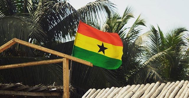 palm tree, tree, sky, clear sky, bird, low angle view, flag, nature, outdoors, multi colored, no people, day, wood - material, one animal, striped, tranquility, animal themes, sunlight, built structure, beach umbrella