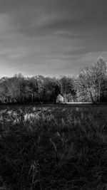 Scenic view of field by lake against sky