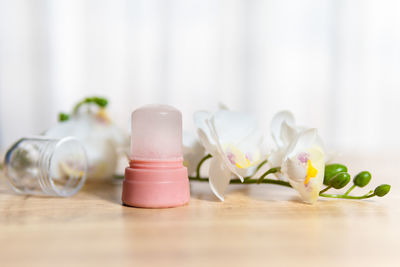 Close-up of white pink flower on table