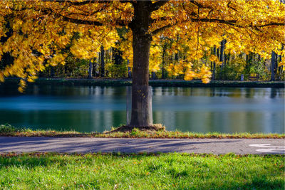 Scenic view of lake by trees during autumn