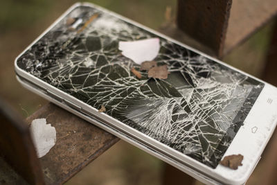 Close-up high angle view of leaf