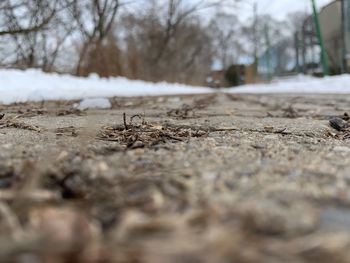 Surface level of snow on land