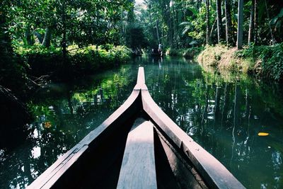 Reflection of trees in river