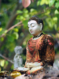 Close-up of lord buddha statue against tree