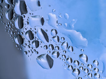 Close-up of water drops against blue background