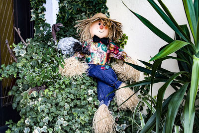 Close-up of rag doll on plants