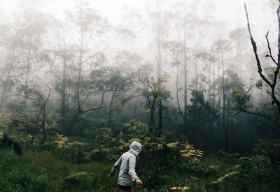 Person in foggy forest