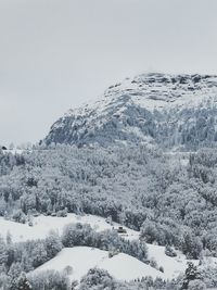 Scenic view of snow covered mountains