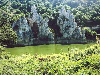 Scenic view of rock formation amidst trees