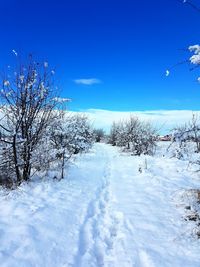 Snow covered landscape against blue sky