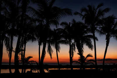 Silhouette palm trees on beach against sky during sunset