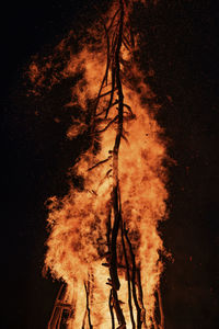 Low angle view of bonfire against trees at night