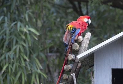 Bird perching on a branch