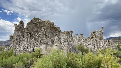 Plants growing on rock formation against sky
