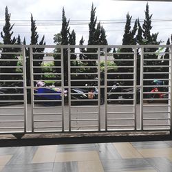 Plants growing by railing against sky