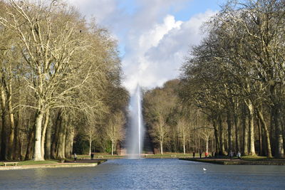 Panoramic shot of river amidst trees against sky