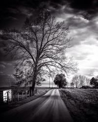 Road passing through bare trees against cloudy sky