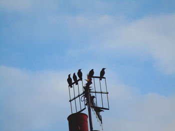 Low angle view of birds perching on metal against sky