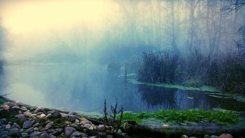 Scenic view of lake with trees in background