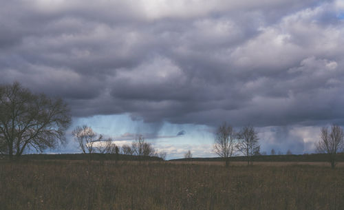 Bare trees on field against sky